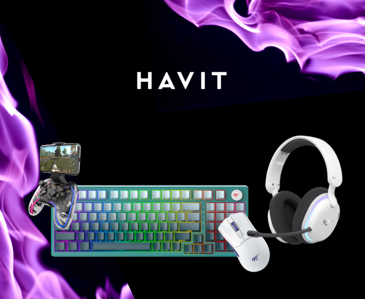 HAVIT GAMING TABLET